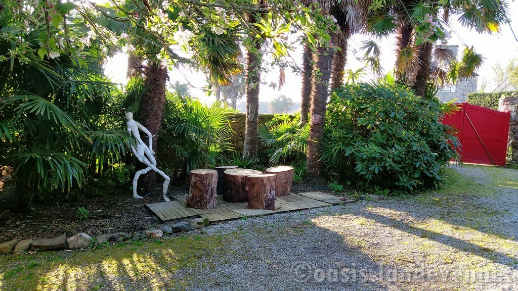 Le coin lecture sous les palmiers