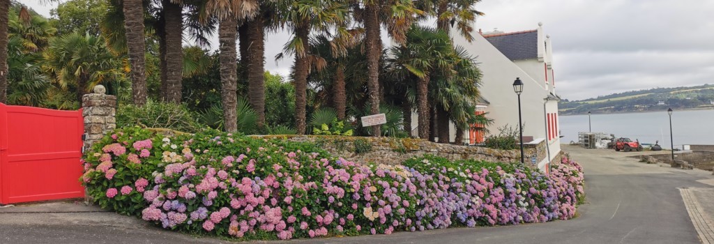 L'Oasis à Landevennec