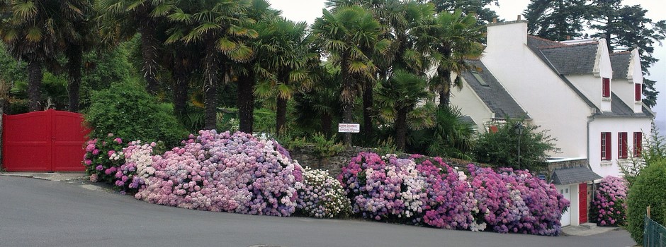 L'Oasis Landevennec