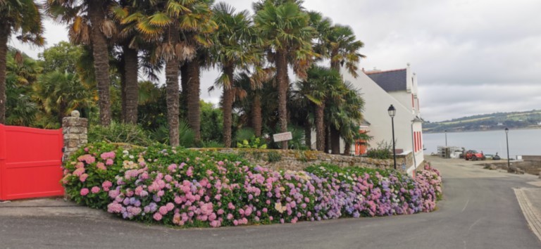 la maison l'Oasis à Landevennec